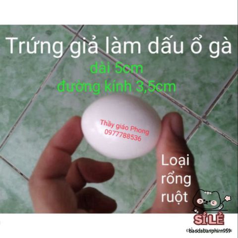 Trứng Giả Đánh Dấu Ổ Gà Nòi Màu Trắng - Giải Pháp An Toàn Giao Thông, Dễ Dàng Xác Định Vị Trí, Kích Thước Nhỏ Gọn 3.5*5cm