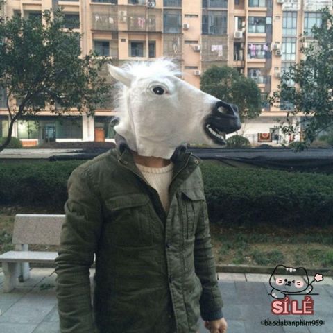 Mặt Nạ BoJack Horseman Hóa Trang - Phụ Kiện Cosplay Cho Nam Nữ, Thú Vị Cho Halloween và Tiệc Tùng