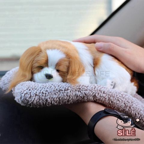 Thú Nhồi Bông Hình Mèo Ngủ - Chó Bông Than Hoạt Tính Khử Mùi Ô Tô, Trang Trí Xe Hơi và Nhà Cửa, Quà Tặng Dễ Thương