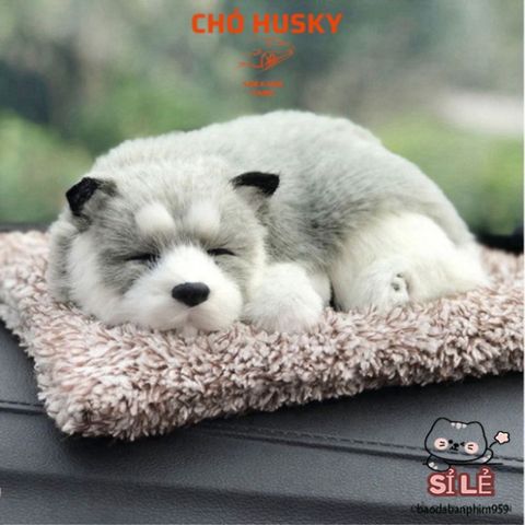 Gấu Bông Chó Mèo Than Hoạt Tính Trang Trí Xe Hơi - Khử Mùi, Lọc Không Khí, Đồ Chơi Dễ Thương Cho Chó Mèo