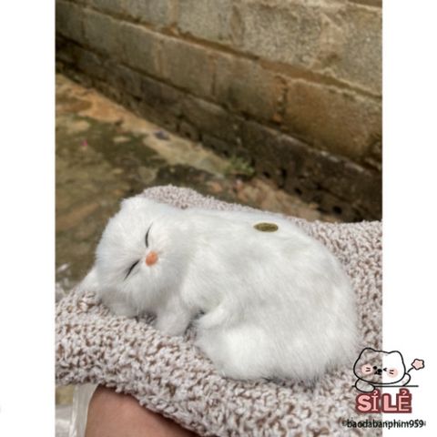 Thú bông Mèo Trắng Dễ Thương - Khử Mùi Với Lõi Than Hoạt Tính - Trang Trí Ô Tô, Phòng Ngủ, Quà Tặng Đáng Yêu