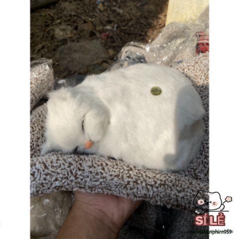 Thú bông Mèo Trắng Dễ Thương - Khử Mùi Với Lõi Than Hoạt Tính - Trang Trí Ô Tô, Phòng Ngủ, Quà Tặng Đáng Yêu