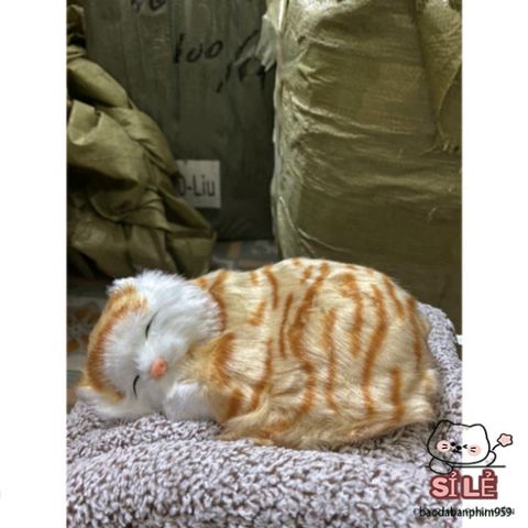 Thú Bông Mèo Vằn Vàng Than Hoạt Tính 99% - Trang Trí Ô Tô & Lọc Không Khí, Bạn Đồng Hành Dễ Thương Cho Gia Đình & Văn Phòng