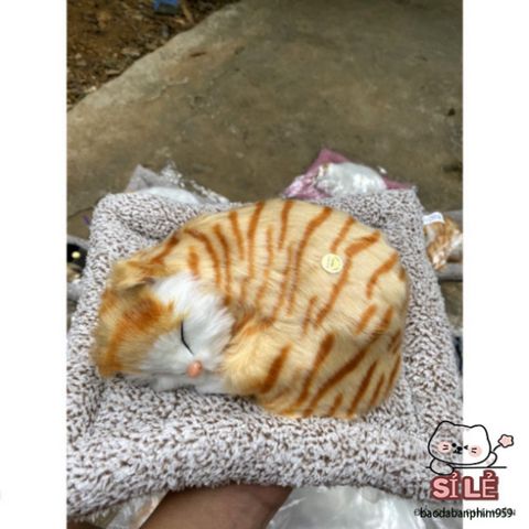 Thú Bông Mèo Vằn Vàng Than Hoạt Tính 99% - Trang Trí Ô Tô & Lọc Không Khí, Bạn Đồng Hành Dễ Thương Cho Gia Đình & Văn Phòng