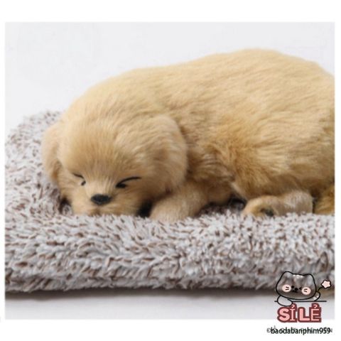 Thú Bông Chó Mèo Than Hoạt Tính - Trang Trí Ô Tô & Bàn Làm Việc, Giúp Khử Mùi & Đem Lại Không Gian Trong Lành, Nhiều Kiểu Dáng Dễ Thương