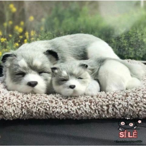 Gấu Bông Chó Hoạt Tính Nano - Phụ Kiện Trang Trí Xe Hơi Khử Mùi & Thanh Lọc Không Khí, Dễ Thương và An Toàn Cho Gia Đình