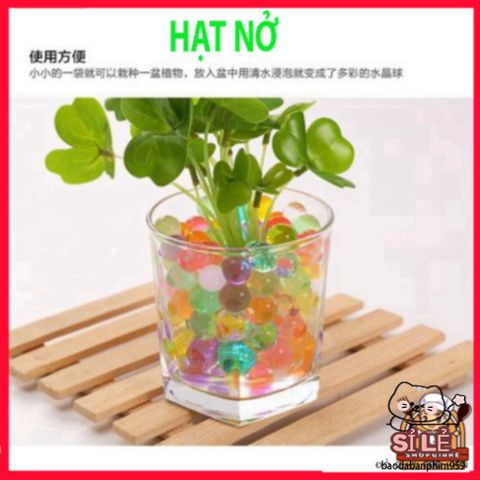 Hạt Nở Đa Màu 5000 Viên - Trang Trí Không Gian Sống Sáng Tạo, Tiểu Cảnh Nghệ Thuật, Quà Tặng Độc Đáo