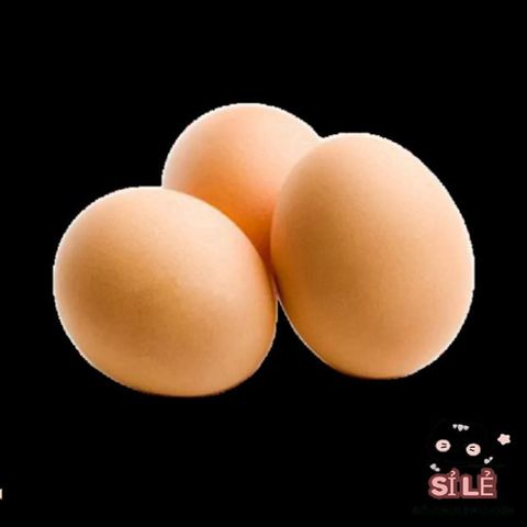 Trứng Gà Giả Màu Nâu 6cm - Giải Pháp Hỗ Trợ Chăn Nuôi Gà Nòi Hiệu Quả, Tạo Thói Quen Đẻ Trứng Tốt