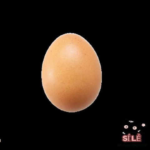 Trứng Gà Giả Màu Nâu 6cm - Giải Pháp Hỗ Trợ Chăn Nuôi Gà Nòi Hiệu Quả, Tạo Thói Quen Đẻ Trứng Tốt