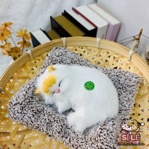 Túi lót tã cho chó mèo - Khử mùi hiệu quả bằng than hoạt tính, mang lại không gian sạch sẽ và dễ chịu cho thú cưng