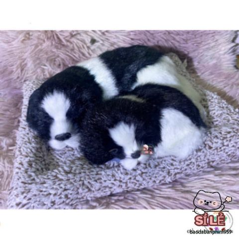 Thú Bông Chó Mèo Than Hoạt Tính - Trang Trí Ô Tô, Nhà, Bàn Làm Việc - Quà Tặng Dễ Thương Cho Trẻ Nhỏ và Người Yêu Thú Cưng