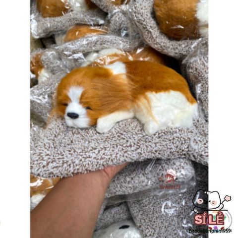 Thú Bông Chó Mèo Than Hoạt Tính - Trang Trí Ô Tô, Nhà, Bàn Làm Việc - Quà Tặng Dễ Thương Cho Trẻ Nhỏ và Người Yêu Thú Cưng