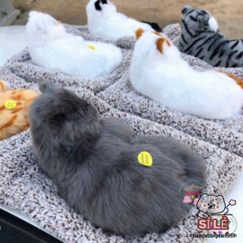 Gấu Bông Khử Mùi Than Hoạt Tính Cho Thú Cưng - Sản Phẩm Đáng Yêu Tạo Không Gian Trong Lành Cho Ô Tô, Phòng Ngủ và Quà Tặng Trẻ Em