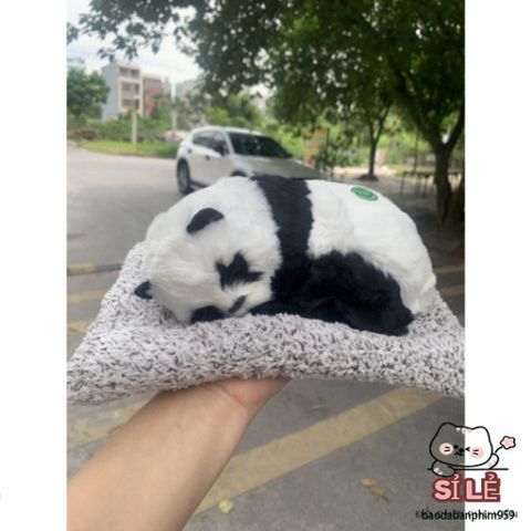 Thú Bông Khử Mùi Than Hoạt Tính - Trang Trí Xe Hơi và Bàn Làm Việc, Khử Mùi Hiệu Quả, Dễ Thương Cho Mọi Không Gian Sống