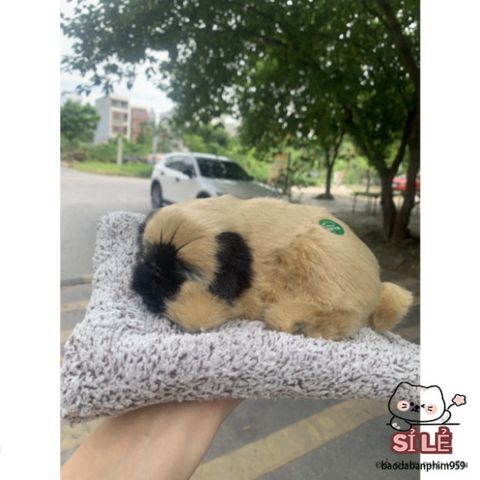 Thú Bông Khử Mùi Than Hoạt Tính - Trang Trí Xe Hơi và Bàn Làm Việc, Khử Mùi Hiệu Quả, Dễ Thương Cho Mọi Không Gian Sống