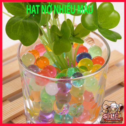 Hạt Nở Trồng Cây Thủy Sinh - Hạt Pha Lê Trang Trí Đẹp Cho Bình Hoa, Dễ Sử Dụng, Tăng Kích Thước Đến 14mm