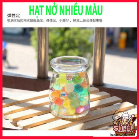Hạt Nở Trồng Cây Thủy Sinh - Hạt Pha Lê Trang Trí Đẹp Cho Bình Hoa, Dễ Sử Dụng, Tăng Kích Thước Đến 14mm