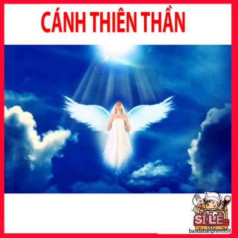 Cánh Thiên Thần Lông Ngỗng Trắng - Phụ Kiện Thời Trang Dành Cho Thiếu Niên và Người Lớn, Thích Hợp Cho Chụp Ảnh và Biểu Diễn