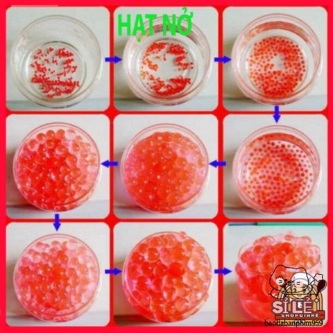 Hạt Tinh Thể Nở Trồng Cây Không Cần Đất - Giải Pháp Tiện Lợi 10.000 Viên Slime Thú Vị, Trang Trí Tiểu Cảnh Sống Động
