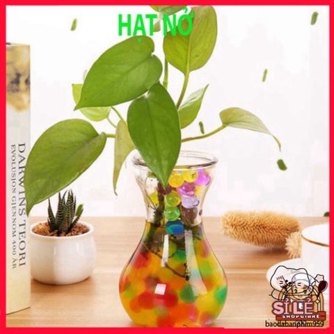 Bộ 1000 Hạt Nở Giữ Nước Cho Cây Cảnh - Trang Trí Chậu Hoa Slime Slam, Hỗ Trợ Tưới Cây và Tạo Điểm Nhấn Độc Đáo Cho Không Gian Sống