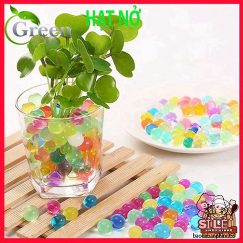 Gói 1000 Viên Hạt Tinh Thể Nở Màu Sắc - Trang Trí Lọ Hoa Sinh Động, Trồng Cây Thân Thiện Với Môi Trường