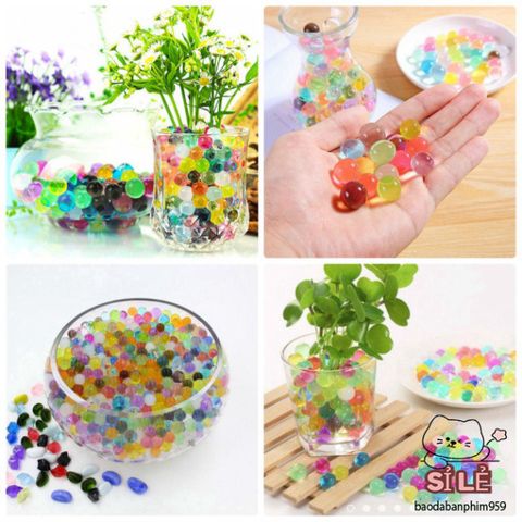 Gói 1000 Viên Hạt Tinh Thể Nở Màu Sắc - Trang Trí Lọ Hoa Sinh Động, Trồng Cây Thân Thiện Với Môi Trường