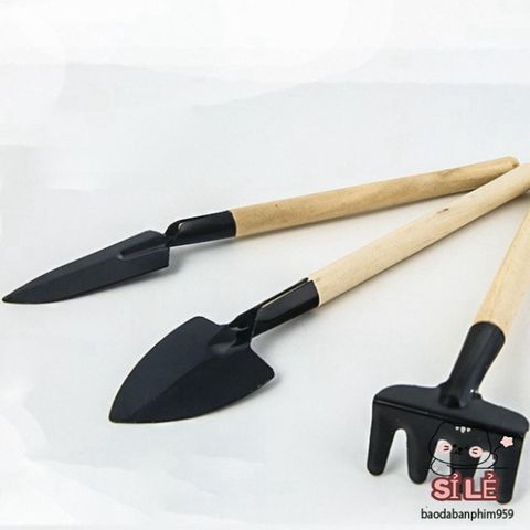 Bộ Dụng Cụ Làm Vườn Mini 3 Món - Xẻng, Cào Đất, Cây Ba Chia - Dụng Cụ Hoàn Hảo Cho Tín Đồ Yêu Cây Cảnh Tại Nhà