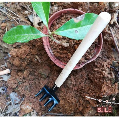 Bộ Dụng Cụ Làm Vườn Mini 3 Món - Xẻng, Cào Đất, Cây Ba Chia - Dụng Cụ Hoàn Hảo Cho Tín Đồ Yêu Cây Cảnh Tại Nhà