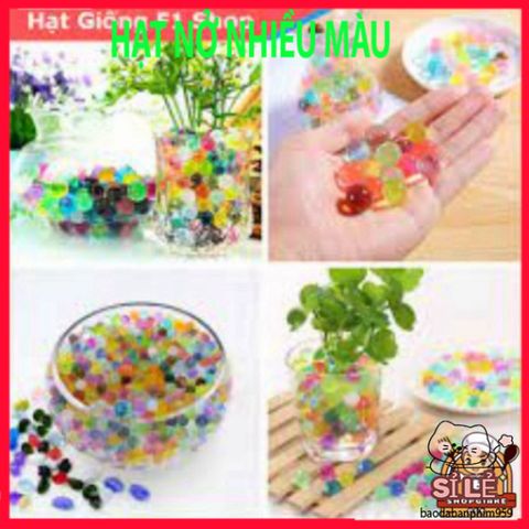 Hạt Nở Tinh Thể Thủy Sinh 20G - Trang Trí Hoa Thủy Sinh Đẹp, Không Đất, Mộc Mạc, Dễ Dàng Sử Dụng, Tạo Không Gian Xanh Mát
