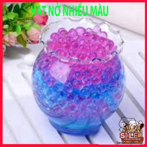 Hạt Nở Tinh Thể Thủy Sinh 20G - Trang Trí Hoa Thủy Sinh Đẹp, Không Đất, Mộc Mạc, Dễ Dàng Sử Dụng, Tạo Không Gian Xanh Mát