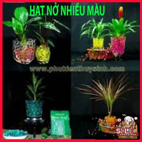Hạt Nở Tinh Thể Thủy Sinh 20G - Trang Trí Hoa Thủy Sinh Đẹp, Không Đất, Mộc Mạc, Dễ Dàng Sử Dụng, Tạo Không Gian Xanh Mát