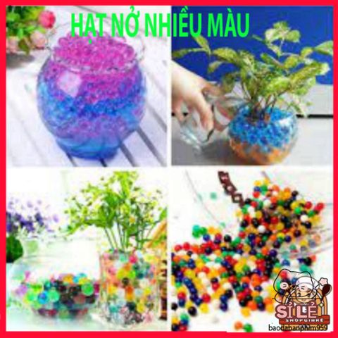 Hạt Nở Tinh Thể Thủy Sinh 20G - Trang Trí Hoa Thủy Sinh Đẹp, Không Đất, Mộc Mạc, Dễ Dàng Sử Dụng, Tạo Không Gian Xanh Mát