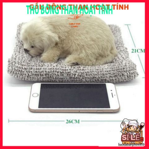 Thú Bông Khử Mùi Than Hoạt Tính Dễ Thương - Phụ Kiện Trang Trí Taplo Ô Tô, Giữ Không Gian Trong Lành và Vui Tươi cho Xe Hơi