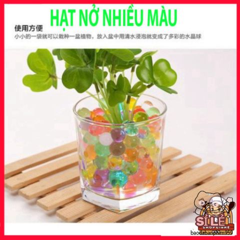 Hạt Nở Đa Sắc Màu 5000 Viên - Trang Trí Nhà Cửa, Tiểu Cảnh, Hoa Trang Trí, Dụng Cụ Trồng Cây, Tạo Không Gian Sống Rực Rỡ