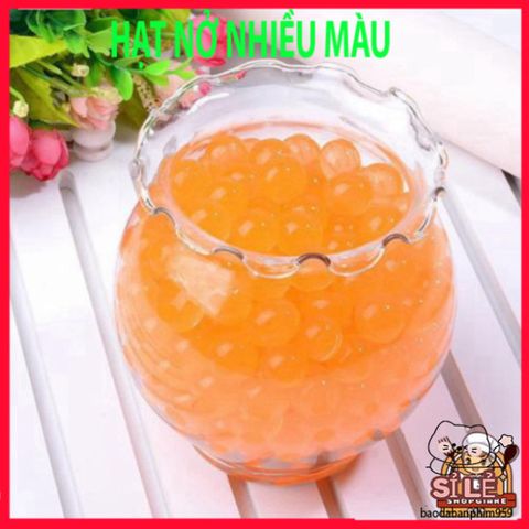 Hạt Nở Đa Sắc Màu 5000 Viên - Trang Trí Nhà Cửa, Tiểu Cảnh, Hoa Trang Trí, Dụng Cụ Trồng Cây, Tạo Không Gian Sống Rực Rỡ