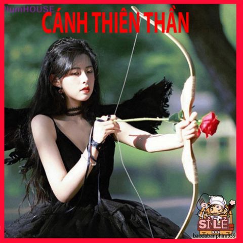 Kính Chào Lông Vũ Màu Đen - Món Đồ Trang Trí Sang Trọng Cho Không Gian Sống, Quà Tặng Cosplay Cho Người Lớn Và Trẻ Nhỏ