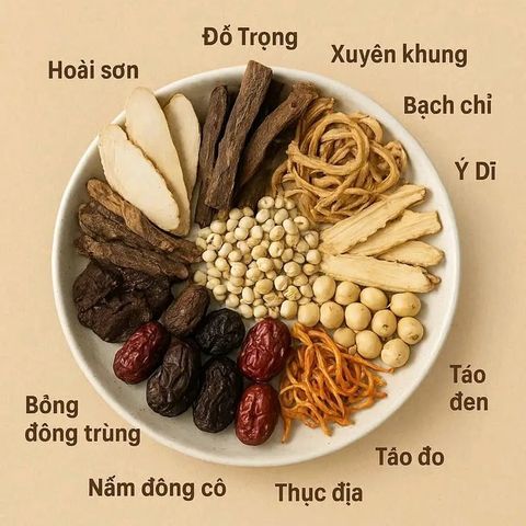 Set Thuốc Bắc Hầm Bò Heo Gà – Bổ Dưỡng Toàn Diện, Giàu Dinh Dưỡng Chuẩn Vị Đông Y, Hỗ Trợ Bữa Ăn Ngon Miệng Cho Gia Đình