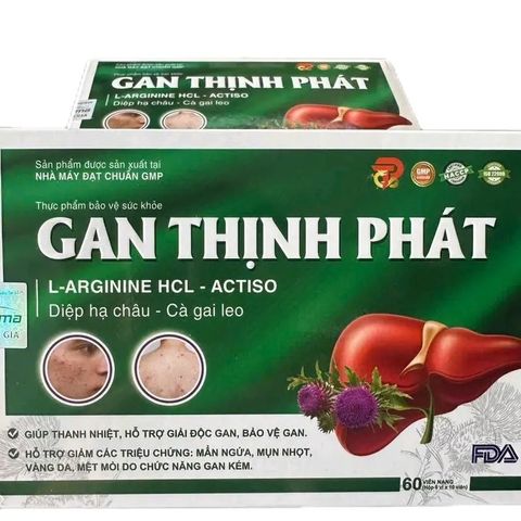 Viên Uống Bổ Gan Thịnh Phát - Giải Pháp Thanh Lọc Gan Từ Cà Gai Leo & Diệp Hạ Châu, Hộp 60 Viên Nang Cứng