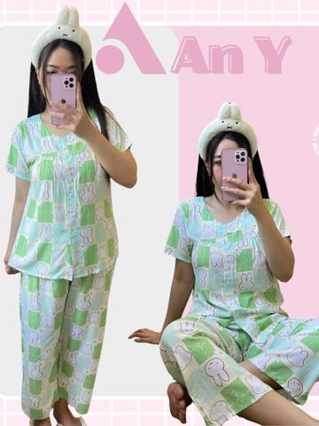 Đồ Bộ Mặc Nhà Vải Tole 2 Da Họa Tiết Hoạt Hình Dễ Thương - Đồ Ngủ Thoải Mái, Thời Trang Tết 2026 Cho Nữ