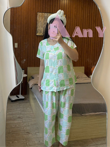 Đồ Bộ Mặc Nhà Vải Tole 2 Da Họa Tiết Hoạt Hình Dễ Thương - Đồ Ngủ Thoải Mái, Thời Trang Tết 2026 Cho Nữ