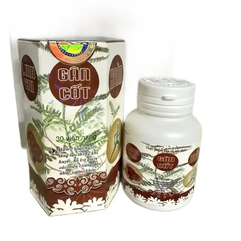Linh Chi Gân Cốt Hoàn 30 Viên - Hỗ Trợ Giảm Đau Nhức Xương Khớp, Cải Thiện Lưu Thông Khí Huyết cho Người Viêm Khớp