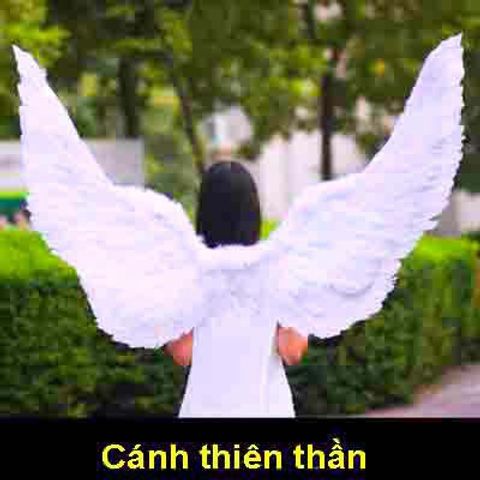Cánh Thiên Thần Hóa Trang Đen Trắng - Phụ Kiện Halloween Cosplay Dành Cho Trẻ Em và Người Lớn - Cánh Lông Vũ Chất Lượng Cao