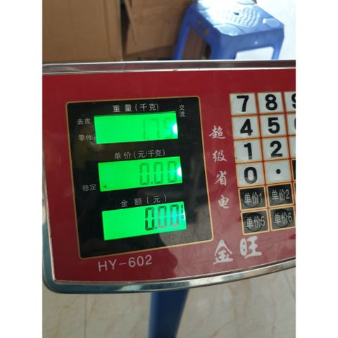 Giày trượt patin cho bé kèm mũ bảo hiểm & bảo vệ, bánh xe phát sáng - Giày patin an toàn cho trẻ em từ 5 đến 11 tuổi