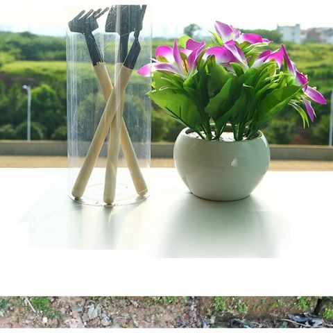 Bộ Dụng Cụ Làm Vườn Mini 3 Món - Dụng Cụ Trồng Cây Cảnh Bonsai, Xương Rồng - Tiện Dụng Cho Vườn Mini Tại Nhà