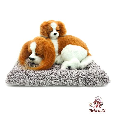 Gấu Bông Chó Mèo Than Hoạt Tính Khử Mùi Ô Tô - Đồ Trang Trí Dễ Thương, Sản Phẩm Thú Cưng Hút Ẩm, Lọc Không Khí Trong Lành