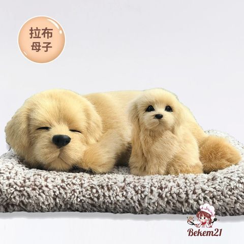 Gấu Bông Chó Mèo Than Hoạt Tính Khử Mùi Ô Tô - Đồ Trang Trí Dễ Thương, Sản Phẩm Thú Cưng Hút Ẩm, Lọc Không Khí Trong Lành