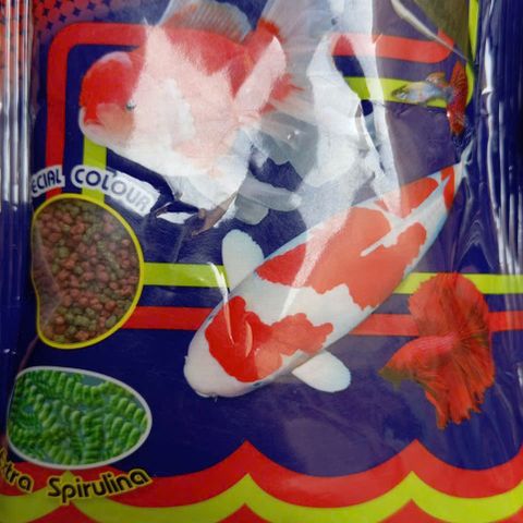 Cám Thái Cao Cấp Omega 100g - Thức Ăn Cho Cá Koi, Cá Vàng, Hạt Nhỏ Dinh Dưỡng Cho Cá Cảnh, Chất Đạm Thực Phẩm Tốt Nhất