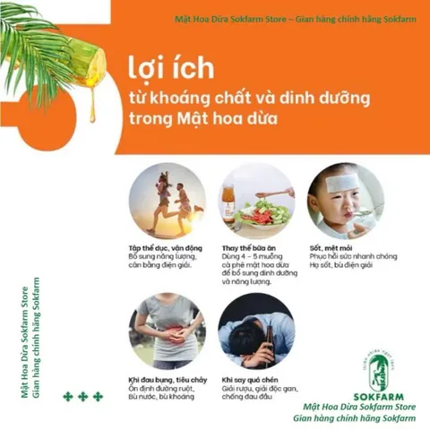 Mật Hoa Dừa Cô Đặc Organic Sokfarm 100% Tự Nhiên - Hộp 12 Gói x 15g, Thay Thế Đường Nguyên Liệu Tốt Cho Sức Khỏe