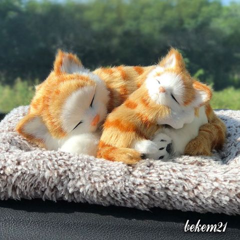 Mèo Hoa Cúc Bông Gòn Lông Mượt Lõi Than Hoạt Tính - Khử Mùi & Lọc Không Khí Cho Ô Tô Trang Trí Nội Thất