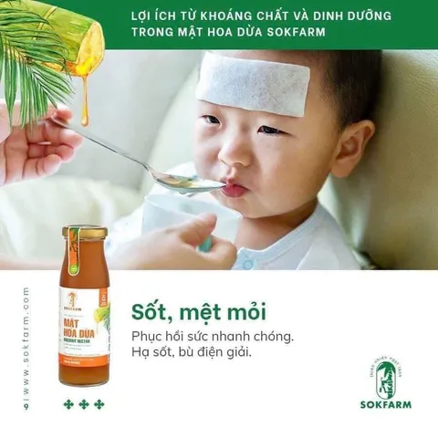 Mật hoa dừa cô đặc organic Sokfarm 250g - Thực phẩm tự nhiên cho bé ăn dặm, bổ sung dinh dưỡng, vị ngọt tự nhiên, thuần thực vật.